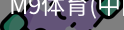 M9体育